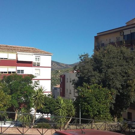 Alojamiento Esencia I Jaén Dış mekan fotoğraf