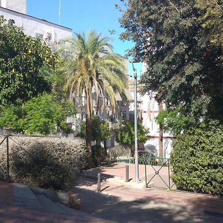 Alojamiento Esencia I Jaén Dış mekan fotoğraf